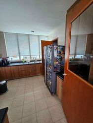 The Horizon (D10), Condominium #571155791